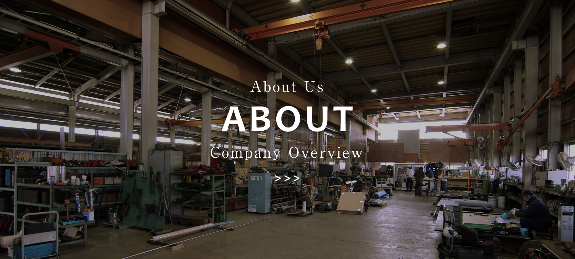 Company Overview